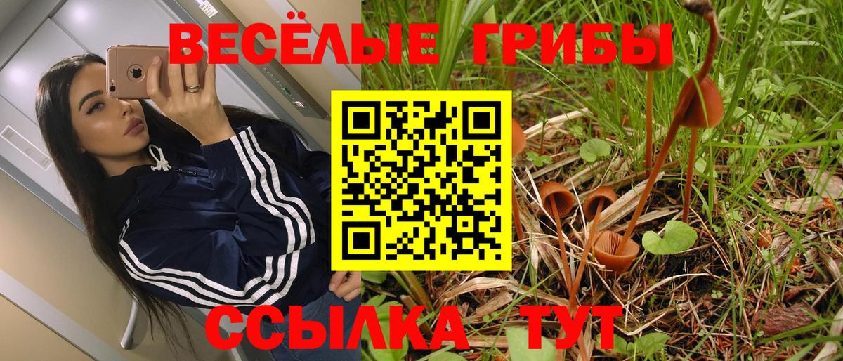где купить наркотик  Псилоцибиновые грибы мухоморы  Вход с VPN  Сарапул 