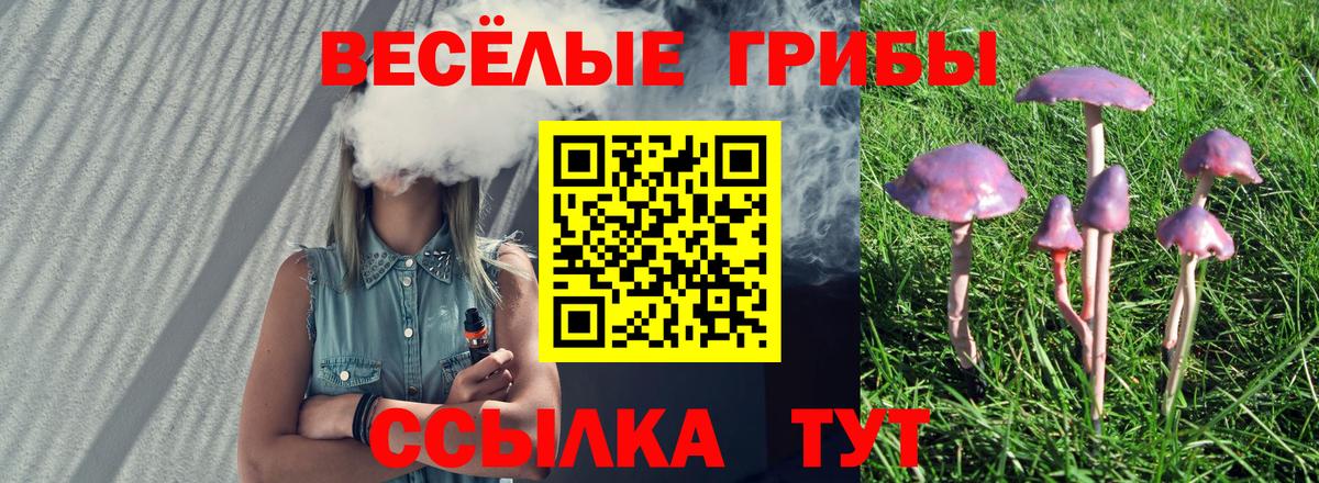 Галлюциногенные грибы ЛСД Сарапул