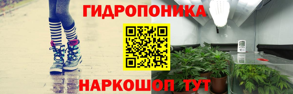 Шишки марихуана ГИДРОПОН Сарапул